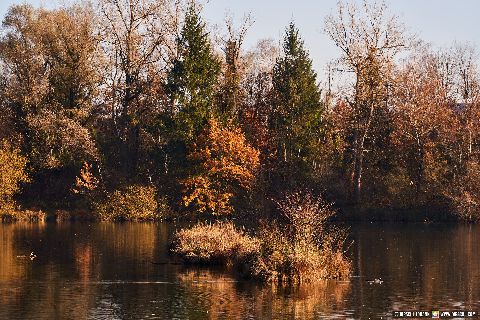 Gemeinde Kirchdorf Landkreis Rottal-Inn Waldsee Lago Herbst (Dirschl Johann) Deutschland PAN